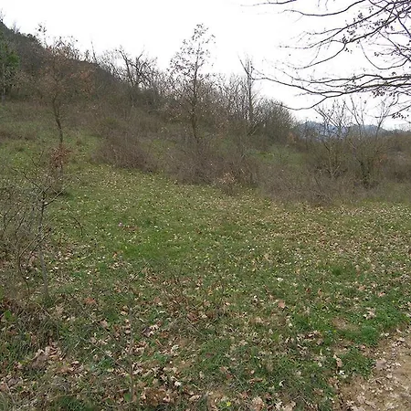 度假居 ραντζο σκυλογιαννη Mouzaki (Karditsa)