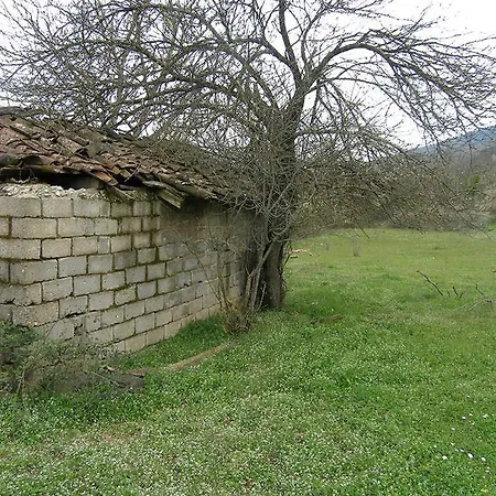 ραντζο σκυλογιαννη 度假居 *